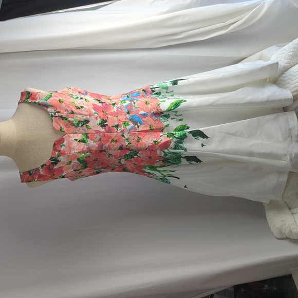 CB Established 1962 Dresses & Skirts - CB Established 1962 Floral Sleeveless  Dress Sz 6